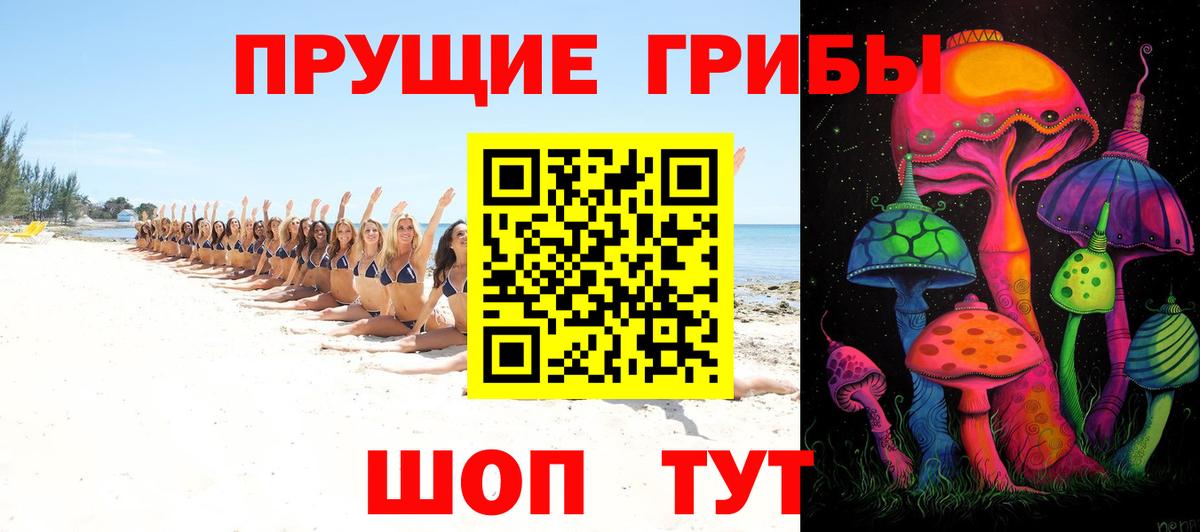 Галлюциногенные грибы Cubensis Якутск