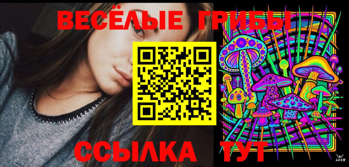 Галлюциногенные грибы MAGIC MUSHROOMS  Псилоцибиновые грибы MAGIC MUSHROOMS  где продают   Вход с VPN  Якутск 